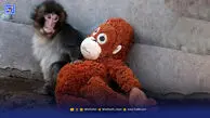 خرده روایت‌های خواندنی از ایران‌ و جهان ‌