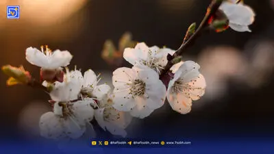 چگونه با chatgpt، عکس پروفایل پاییزی بسازیم؟ + راهنمای گام به گام