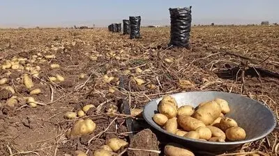 روستا فقط کشاورزی نیست
