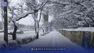 سامانه بارشی جدید در راه است/ این استان ها برفی و بارانی می شود