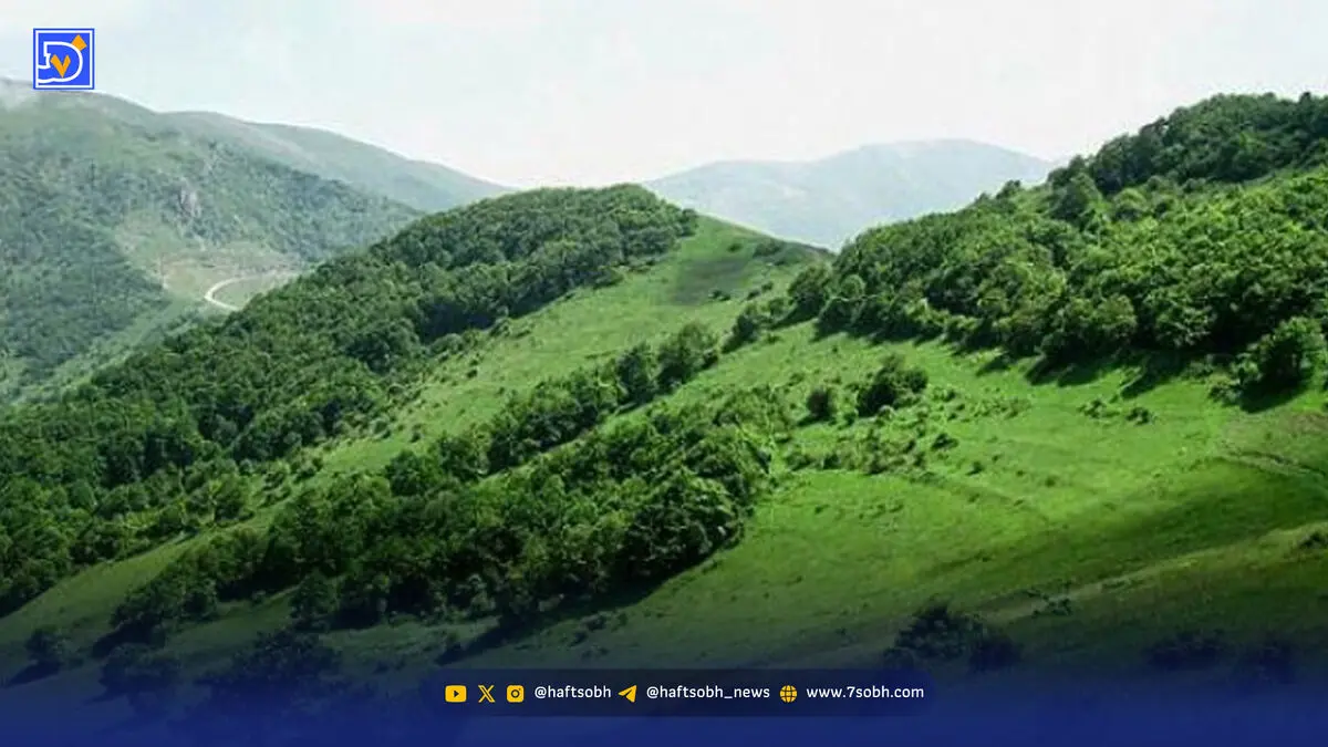 آتش جنگ به جنگل نرسید