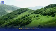 آتش جنگ به جنگل نرسید