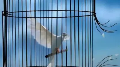 نرخ دیه سال ۱۴۰۵