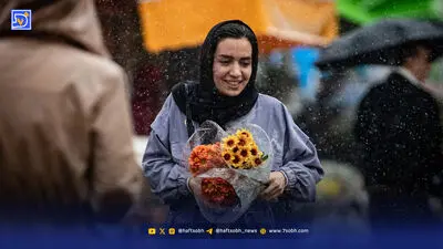 گلدان‌ها جای باغچه را گرفته‌اند