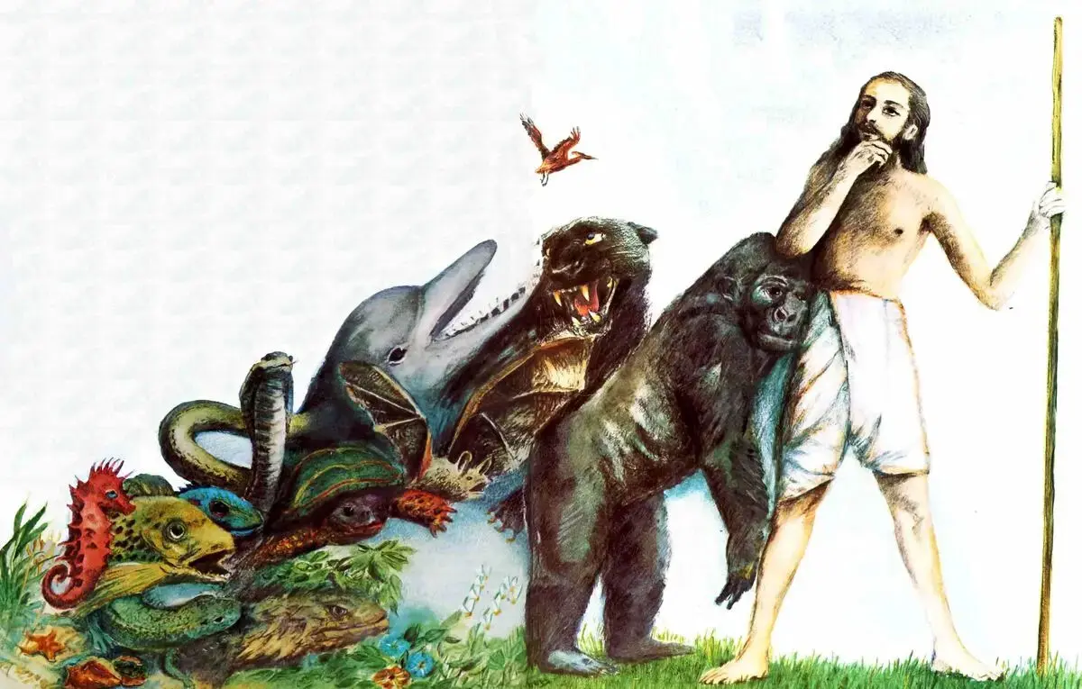 ۵۰۰ میلیون سال پیش؛ تکامل حیات از آب به خشکی با تغییرات ژنتیکی شگفت‌انگیز