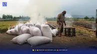برنج روی دست بازار ماند