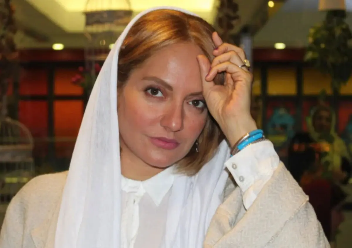 توقیف اموال مهناز افشار، مزدک میرزایی، نیکی کریمی، سینا سرلک، مسعود شجاعی و مسترتیستر