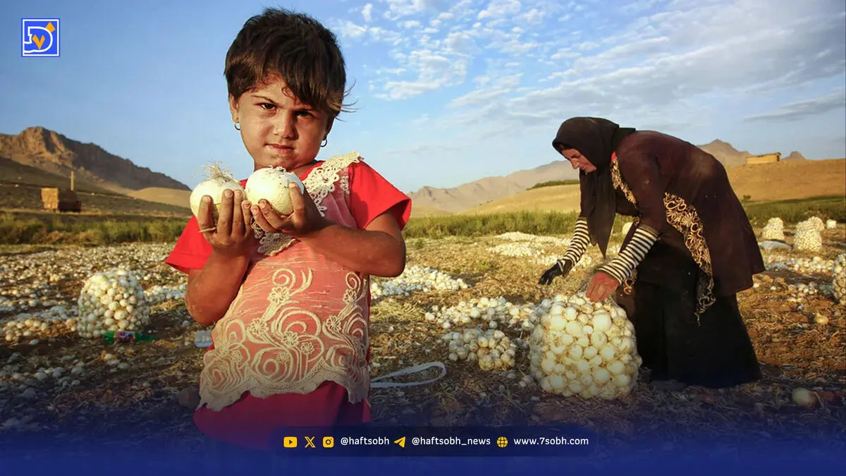 پیاز اشک همه را درمی‌آورد | ‌شوک به مصرف‌کننده
