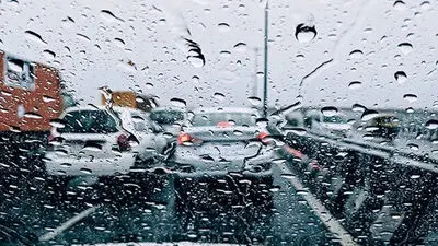 روز مرگبار گنجشک‌های فریدونکنار 