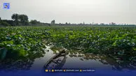 پنل‌ها نفس آب‌بندان‌ها را می‌گیرند