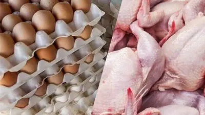 قیمت مرغ، تخم مرغ و گوشت هفته سوم مرداد 1405 + جدول