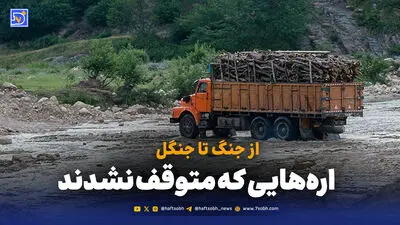 راه نجات جنگل‌ها بازگشت به مدیریت پایدار است؛ هشدار فائو درباره کاهش بیوماس