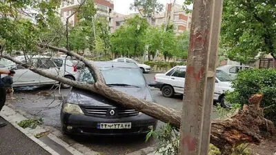 وزش باد شدید در همه نقاط کشور