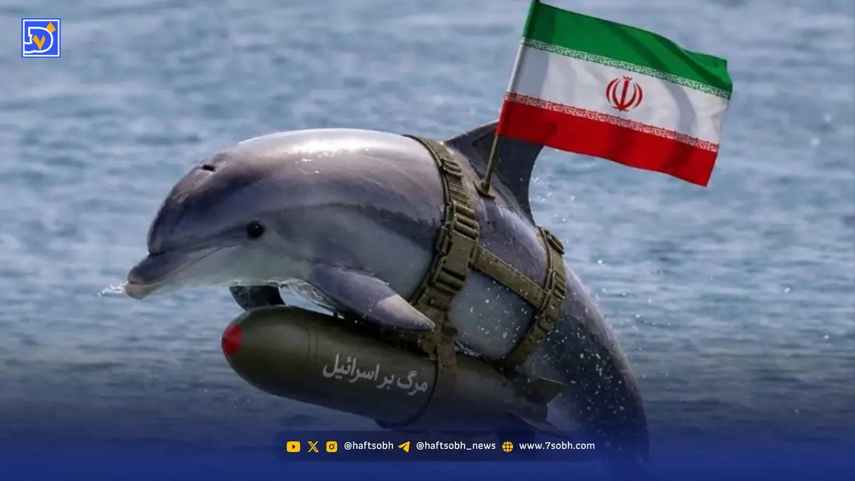 روایت ارتش از ماجرای دلفین‌های انتحاری در خلیج فارس