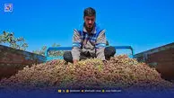 افت صادرات پسته ایران به امارات