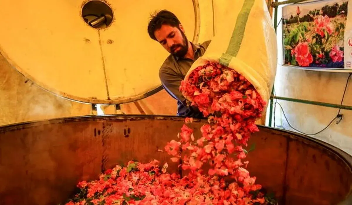 پرونده جهانی گلاب‌گیری کاشان به یونسکو ارسال شد