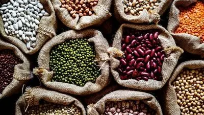 لوبیا چیتی خلاف جریان آب شنا می‌کند