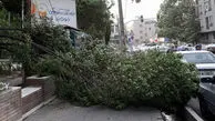 فوری/ 17 نفر در تهران به علت اتفاقات امشب مصدوم شدند
