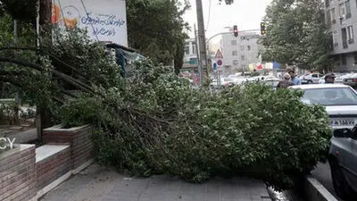  افزایش سرعت وزش باد در تهران 