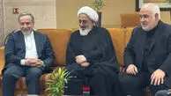عراقچی وارد هند شد / نخستین تصاویر از ورود عراقچی به هند