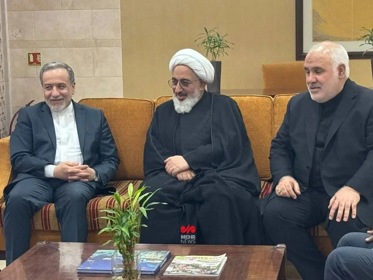 عراقچی وارد هند شد / نخستین تصاویر از ورود عراقچی به هند