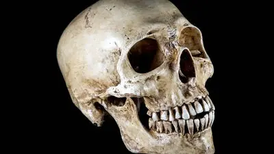 در چه سنی باهوش‌تر هستیم؟ پاسخ علم شاید غافلگیرتان کند