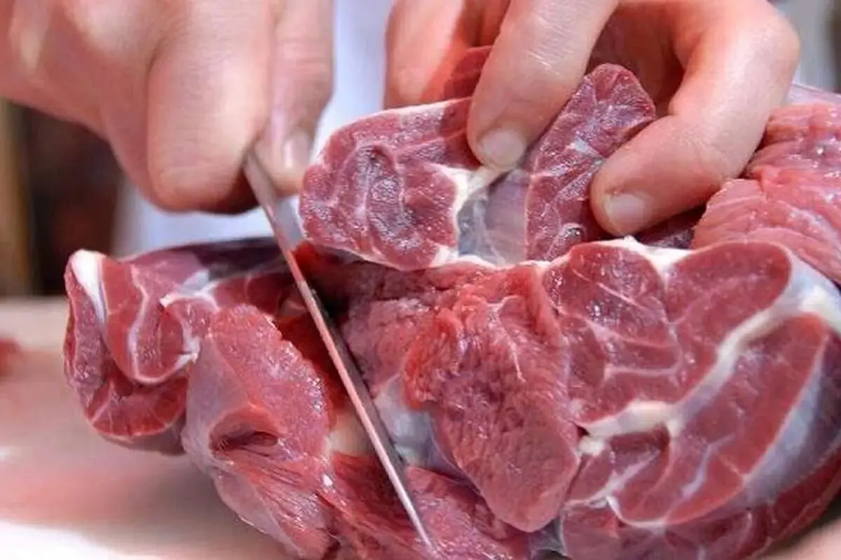 قیمت گوشت قرمز امروز / هر کیلوگرم گوشت گوسفندی چند شد؟