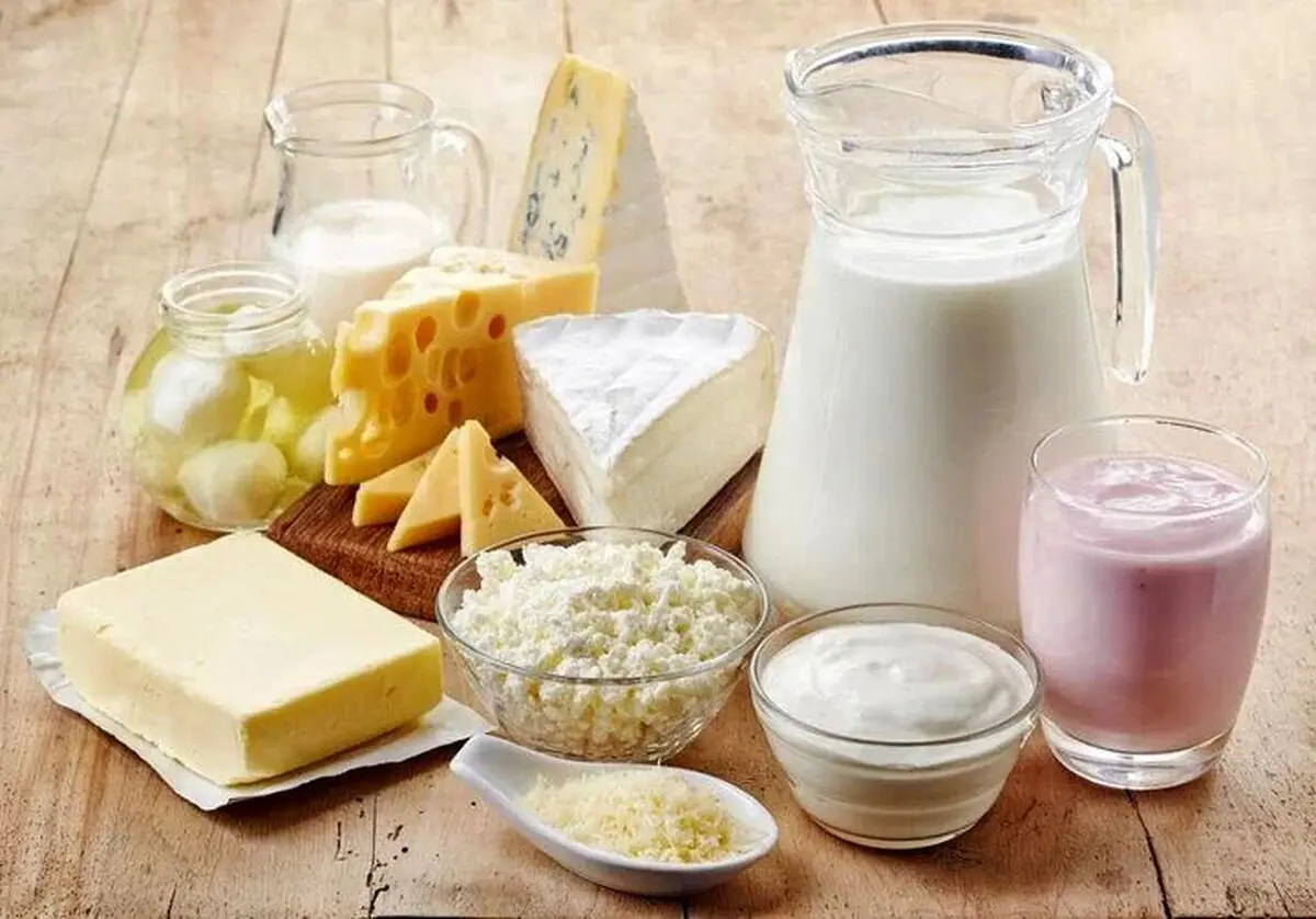 شیر و ماست تا ۴۰ درصد گران شد+ پیشنهاد عجیب برای برگشت کالابرگ لبنیات