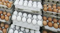 قیمت تخم مرغ در فروشگاه‌های زنجیره‌ای / هر شانه تخم مرغ کمتر از ۵۰۰ هزار تومان!