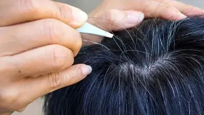 پاییز امسال چه رنگ مویی ترند است؟ جدیدترین رنگ‌های مو در ۲۰۲۶