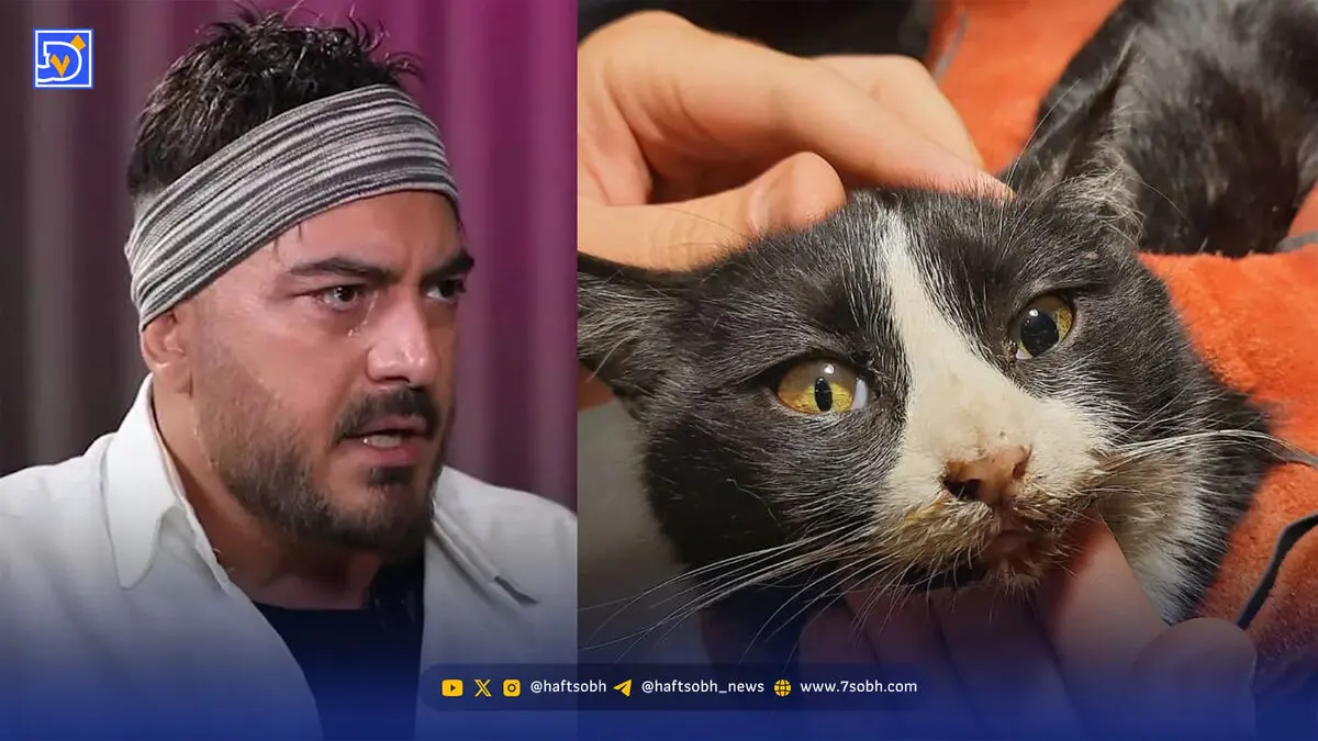 حمله تند نیما شاهرخ شاهی به دعانویس‌ها و جادوگرها
