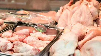 قیمت انواع کالاهای اساسی؛ قیمت مرغ، گوشت و تخم مرغ