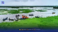 ۲۲۶ تالاب در مرز واقعیت ‌و آرزو