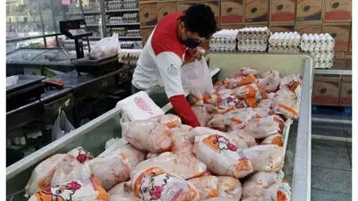 قیمت انواع کالاهای اساسی؛ قیمت مرغ، گوشت و تخم مرغ