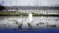 چه تضمینی برای جلوگیری از تغییر کاربری وجود دارد؟