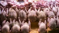 مرغ ارزان شد/ قیمت گوشت مرغ شنبه ۱۶ خرداد ۱۴۰۵