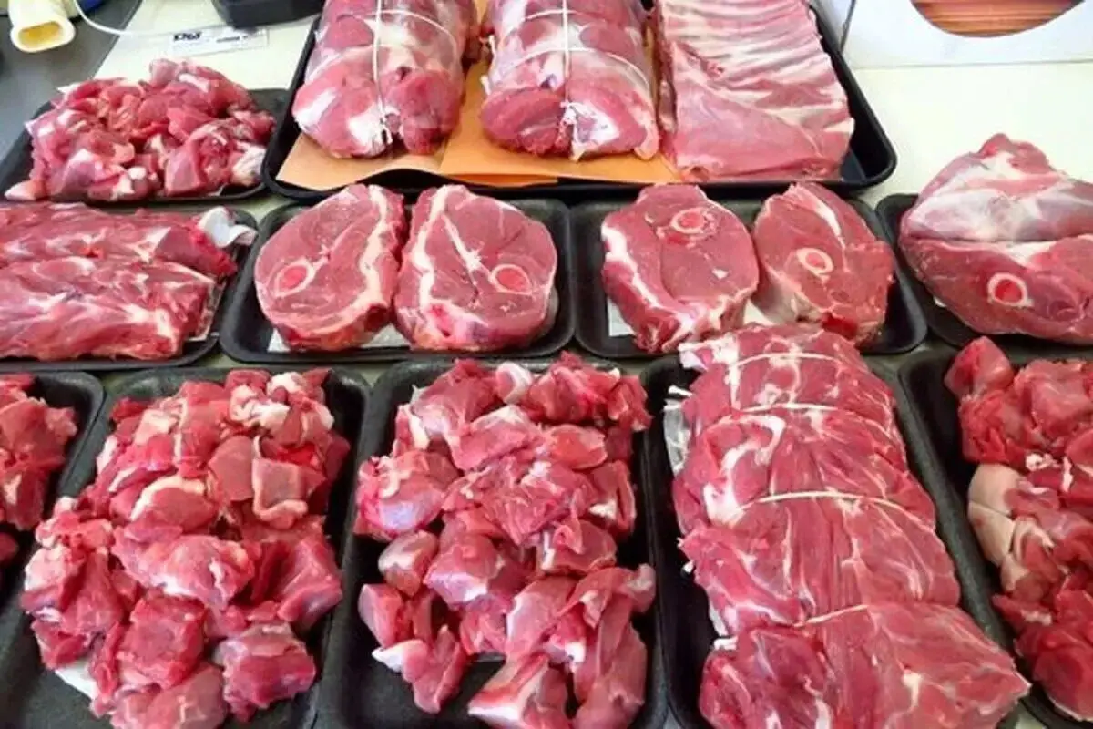 خبر خوش برای خریداران؛ گوشت قرمز ارزان می‌شود!