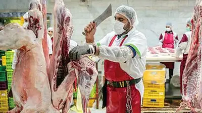 قیمت انواع کالاهای اساسی؛ قیمت مرغ، گوشت و تخم مرغ