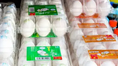 قیمت انواع کالاهای اساسی؛ قیمت مرغ، گوشت و تخم مرغ
