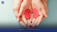 ۴ اشتباه غذایی که ممکن است سلامت کلیه را تهدید کند