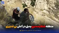 منطقه شکارممنوع بدیل در آتش بی تدبیری؛ تکرار یک هشدار جدی