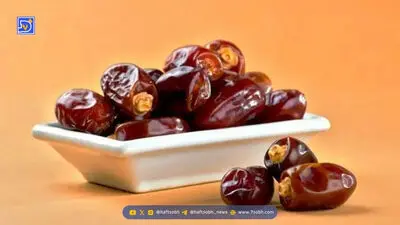 چکاپ‌های پزشکی مهم؛ چه آزمایش‌هایی برای بررسی سلامت ضروری‌اند؟