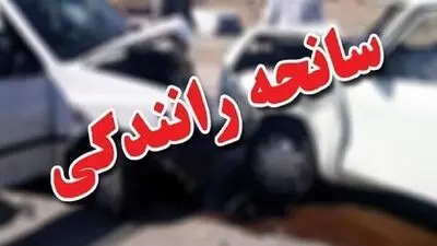 تصادف مرگبار خودروی پلیس با خودروی شخصی در شمال انگلیس