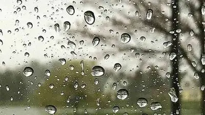 جزئیات بارش شدید باران و خسارت‌های آن در شهرهای شمالی کشور‌