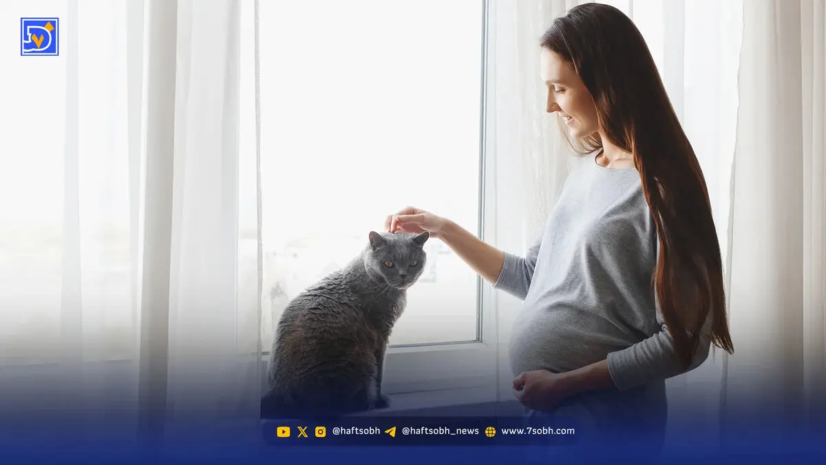 از توکسوپلاسموز قاتل چه می‌دانید؟