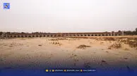 جای خالی تصمیم‌گیر سبز | غیبت شینا انصاری