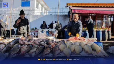 نوتریا ساکن گیلان شد، راکون مهاجم شد؛ سرنوشت دو حیوان فراری از مزارع پوست
