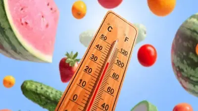 بهترین غذاها برای رفع خستگی در آفتاب