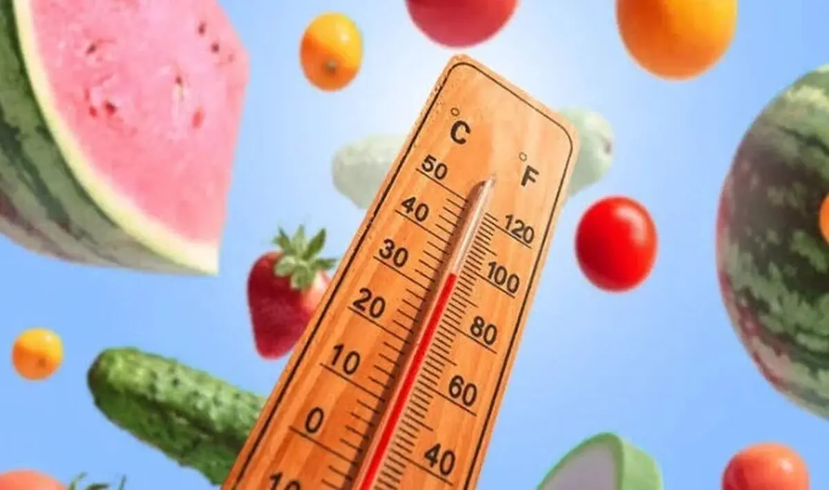 بهترین غذاها برای رفع خستگی در آفتاب
