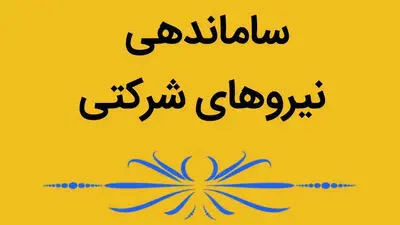 کدام رشته ها درآمد بهتری دارند / گزارش آماری از حقوق هر رشته